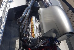 17834215_1388583394534890_5248350724244583294_o